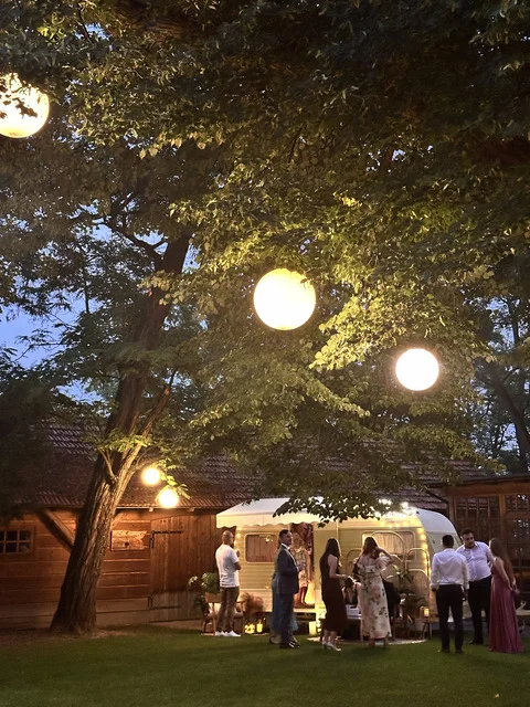 Zdjecie z galerii - 3-eed961ff